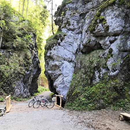 Drevenica Pod Tlstou Pension Blatnica Buitenkant foto